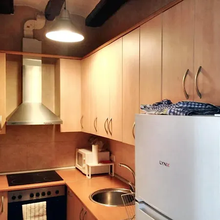 Apartamento Charming In 50 M² With Terrace *
