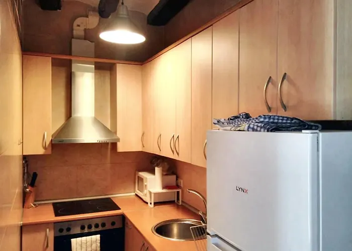 Lägenhet Charming In Tolva, 50 M², With Terrace *