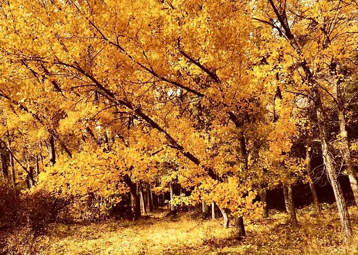 Διαμέρισμα Charming In Tolva, 50 M², With Terrace *